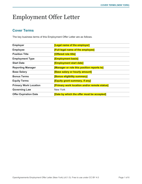 Employment Offer Letter (New York) template preview