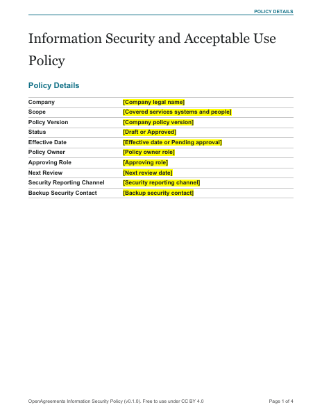 Information Security and Acceptable Use Policy template preview